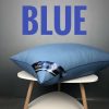 Bantal Hilton ( 2 PCS ) Random Colour