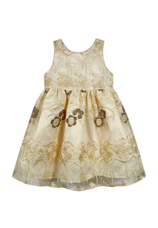 Mini Pink Baby Toddler Girls Gold Embroidered Organza Layered Party Dress