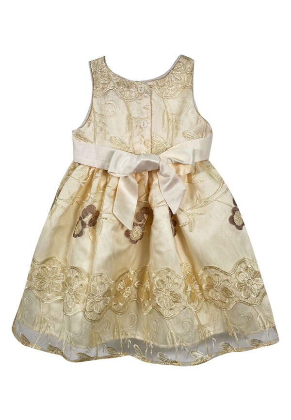 Mini Pink Baby Toddler Girls Gold Embroidered Organza Layered Party Dress - Image 4