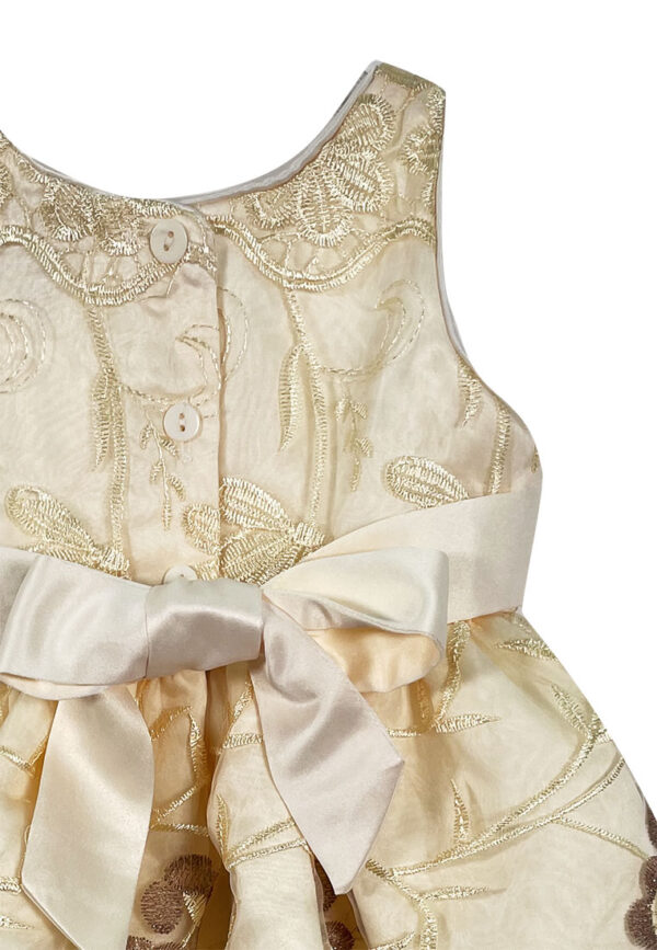 Mini Pink Baby Toddler Girls Gold Embroidered Organza Layered Party Dress - Image 3