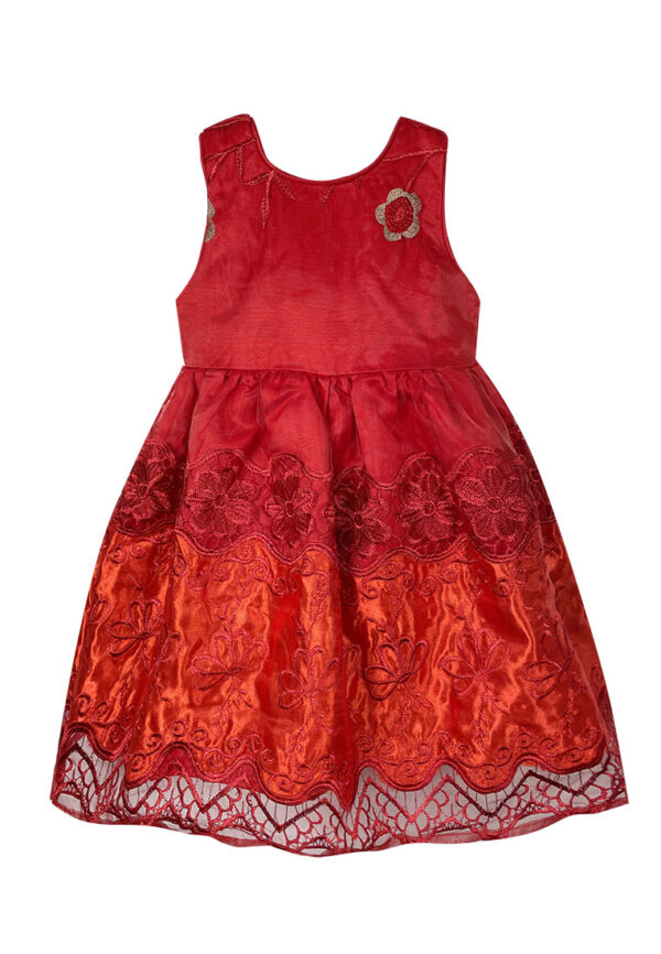 Mini Pink Baby Toddler Girls Red Embroidered Organza Layered Party Dress