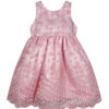 Mini Pink Baby Toddler Girls Pink Embroidered Organza Layered Party Dress