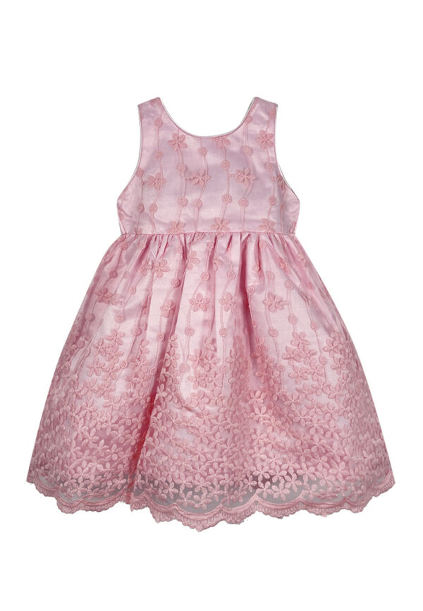 Mini Pink Baby Toddler Girls Pink Embroidered Organza Layered Party Dress