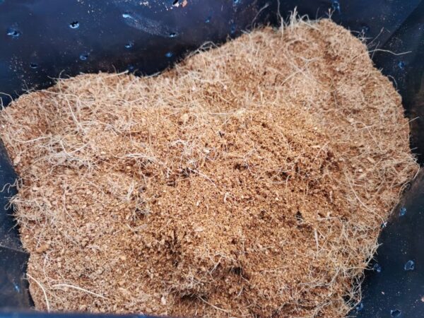 COCOPEAT Price not included transport (Seller will call buyer for transport arrangement)