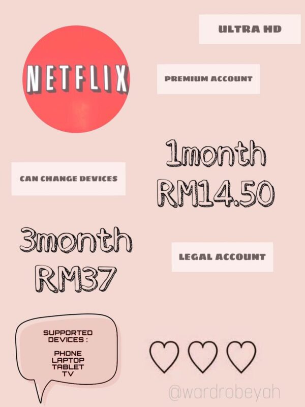 Netflix (3 Month)