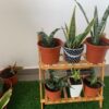BMK Foldable 2 Tier Bamboo Wood Pot Display - Image 4