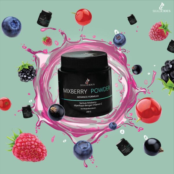 Mixberry Advance - Image 2