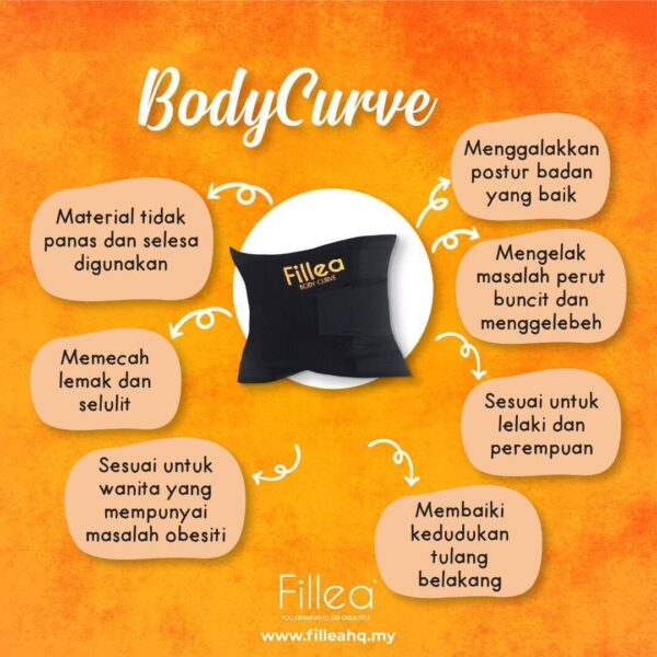 Fillea Bengkung - Image 2
