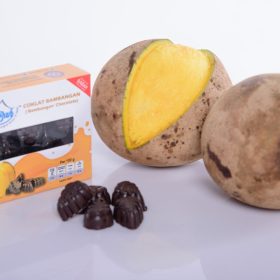 Coklat Inti Bambangan
