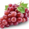 Thomas & Sharon Grapeseed Carrier Oil (30ml) - Image 4