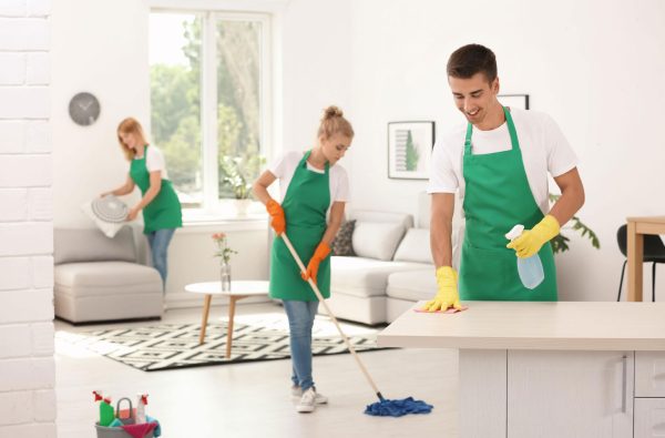 House cleaning services (Example)
