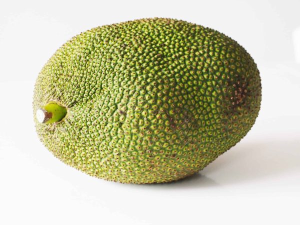 Jackfruit (400-500g) - Image 2