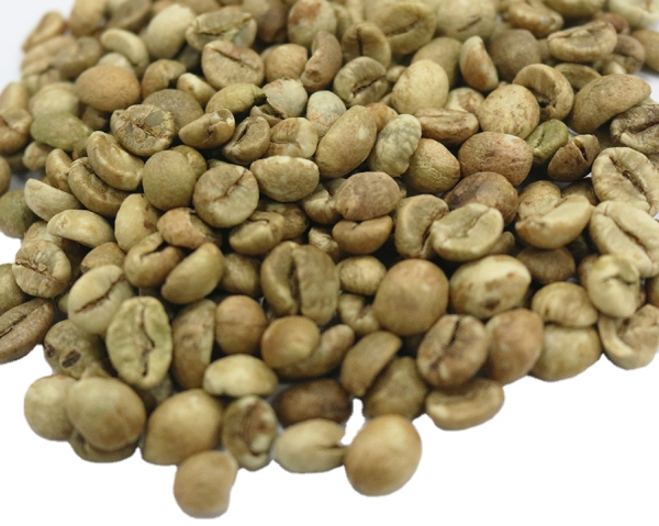 Unwashed/Washed Robusta Grade screen 18