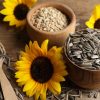 Sunflower Seeds (Metric Ton)