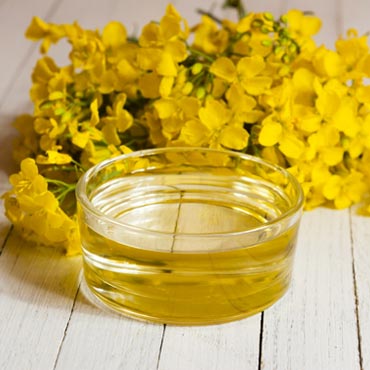 Refined Rapeseed Oil (Metric Ton)
