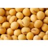 Refined Soybean Oil (Metric Ton)
