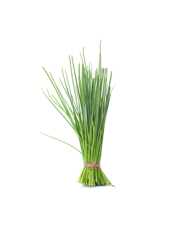 Chive (50 Gram/Pkt)